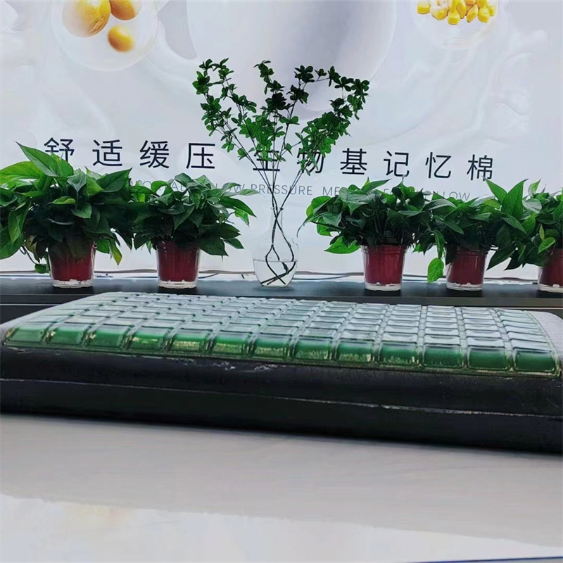 Biobased Gel Memory Foam Kusse - Cooling Pillow Gel recensie en prijs